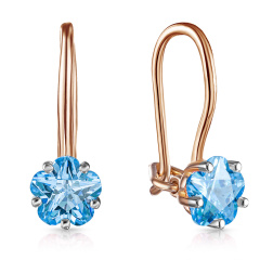 Серьги с французским замком R6611032000