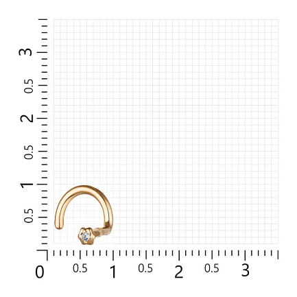 Пирсинг в нос