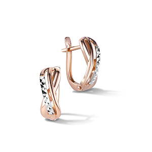 Серьги с английским замком R6610022000