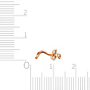 Пирсинг в нос