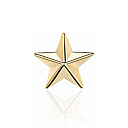 Звезда на погоны