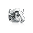 Шарм Буйвол