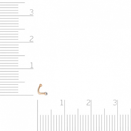 Пирсинг в нос