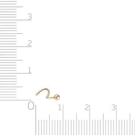 Пирсинг в нос