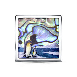 Брошь из серебра с перламутром