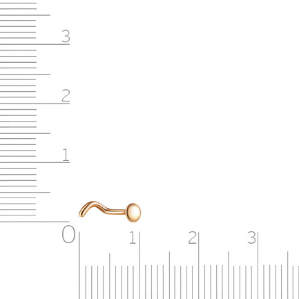 Пирсинг в нос